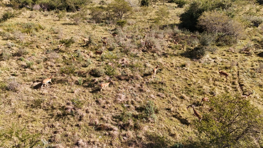 Commercial Property for Sale in Kei Road Eastern Cape